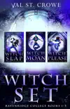 Witch Set: Ravenridge College Books 1-3 sinopsis y comentarios