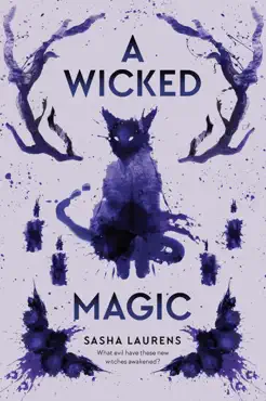 a wicked magic book cover image
