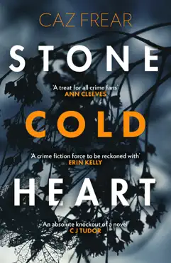 stone cold heart book cover image