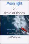 Moon Light on Scale of Fishes synopsis, comments