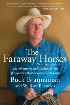 faraway horses book cover image