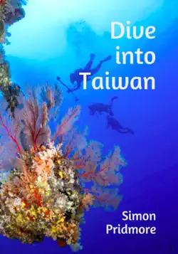 dive into taiwan book cover image