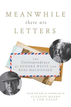 meanwhile there are letters book cover image