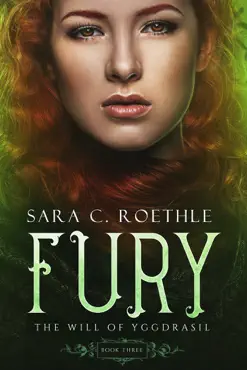 fury book cover image