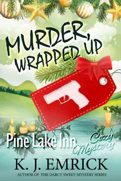 murder, wrapped up book cover image