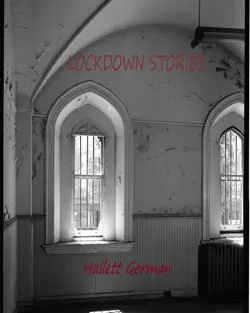 lockdown stories book cover image