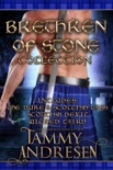 Brethren of Stone book summary, reviews and downlod