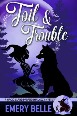 toil & trouble book cover image