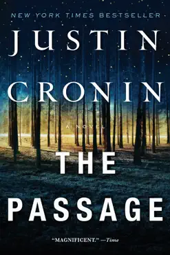 the passage book cover image