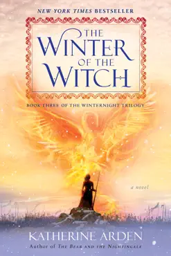 the winter of the witch book cover image