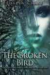 The Broken Bird synopsis, comments