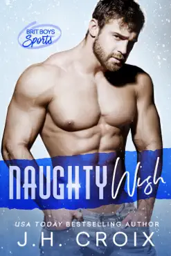 naughty wish book cover image