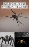 Top Ten Deadliest Spiders in the World synopsis, comments