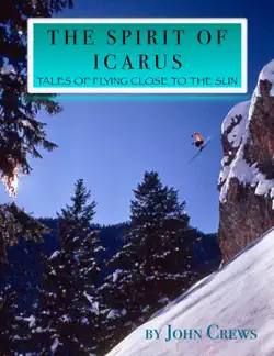 the spirit of icarus book cover image