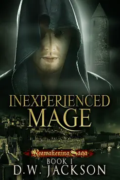 inexperienced mage book cover image