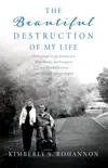 The Beautiful Destruction of My Life synopsis, comments