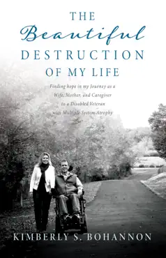 the beautiful destruction of my life book cover image