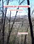 Canyon of Wonders: Visions of Metenebria sinopsis y comentarios