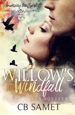 willow's windfall (a novella) book cover image