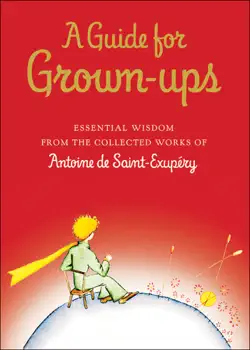a guide for grown-ups book cover image