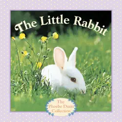 the little rabbit book cover image