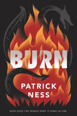burn imagen de la portada del libro