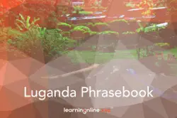 luganda light phrasebook book cover image