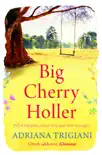 Big Cherry Holler sinopsis y comentarios