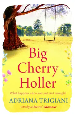 big cherry holler imagen de la portada del libro