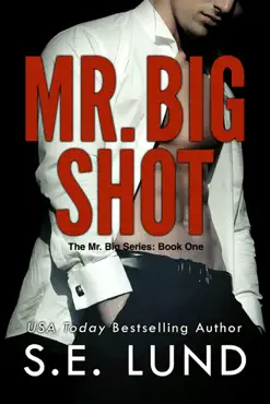mr. big shot imagen de la portada del libro