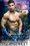 Wild Atonement synopsis, comments