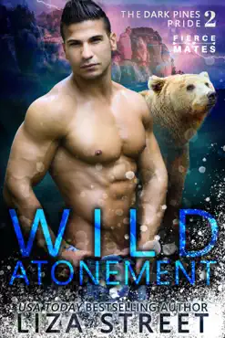 wild atonement book cover image