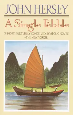 a single pebble book cover image