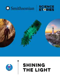 shining the light book cover image