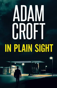 in plain sight book cover image