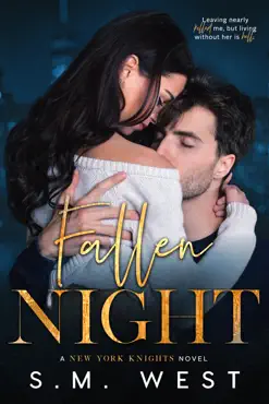 fallen night book cover image