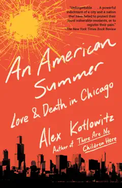 an american summer book cover image
