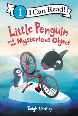 little penguin and the mysterious object book cover image