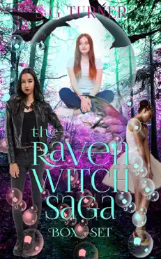 the raven witch saga box set book cover image