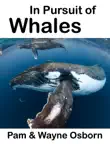 In Pursuit of Whales sinopsis y comentarios
