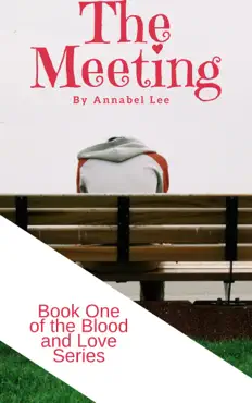 the meeting book cover image