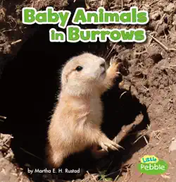 baby animals in burrows book cover image