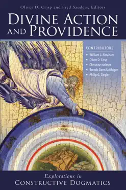 divine action and providence book cover image