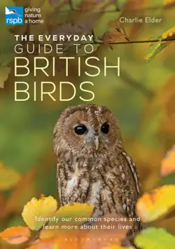 the everyday guide to british birds imagen de la portada del libro