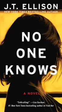 no one knows book cover image
