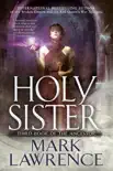 Holy Sister synopsis, comments