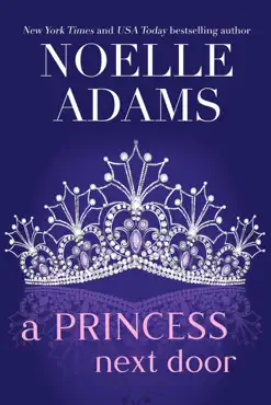 a princess next door book cover image