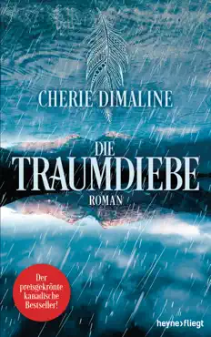die traumdiebe book cover image