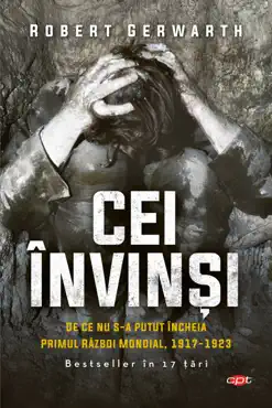 cei invinsi book cover image