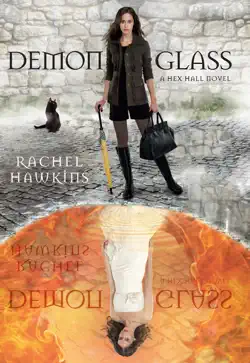 demonglass book cover image